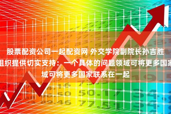 股票配资公司一起配资网 外交学院副院长孙吉胜建议给国际组织提供切实支持：一个具体的问题领域可将更多国家联系在一起