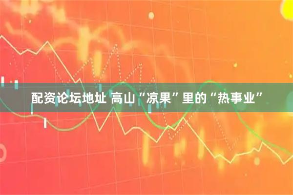 配资论坛地址 高山“凉果”里的“热事业”